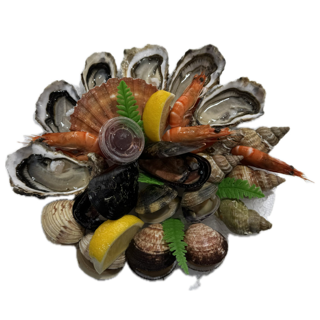 plateau-fruits-de-mer-le-matelot-huitres-crevettes-roses-bulots