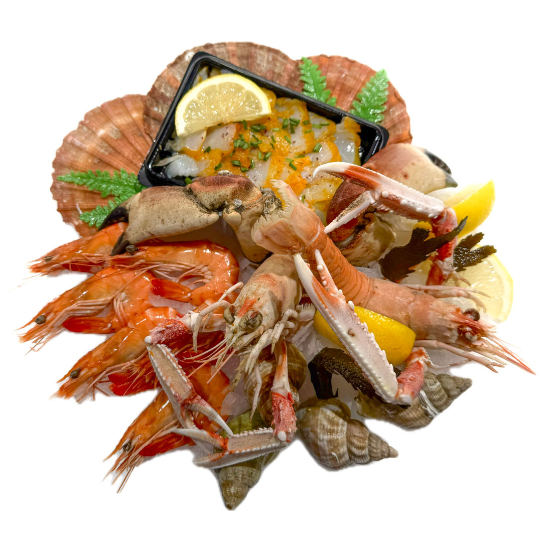 plateau-le-moussaillon--bulots-crevettes-roses-pinces-de-crabe-carpaccio-de-haddock-langoustines